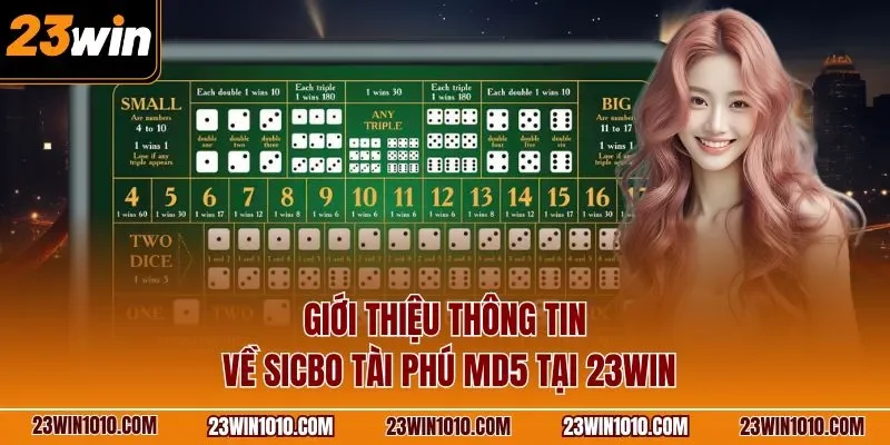 Giới thiệu thông tin về Sicbo tài phú MD5 tại 23WIN