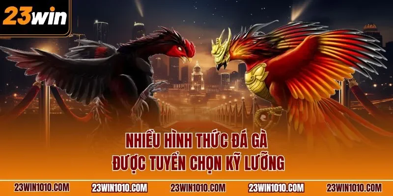 Nhiều hình thức đá gà được tuyển chọn kỹ lưỡng
