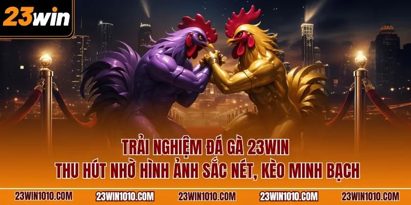 Trải nghiệm đá gà 23WIN thu hút nhờ hình ảnh sắc nét, kèo minh bạch